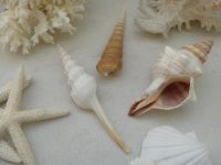 夏季休業日のお知らせ